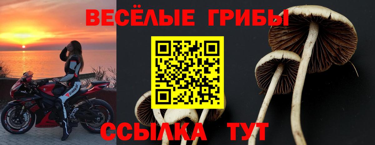 Галлюциногенные грибы прущие грибы  Псилоцибиновые грибы GOLDEN TEACHER  Чусовой  как найти закладки  Вход с VPN 